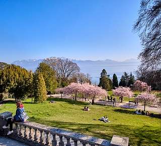 Le Printemps Lausanne parc : Hôtel Continental Lausanne