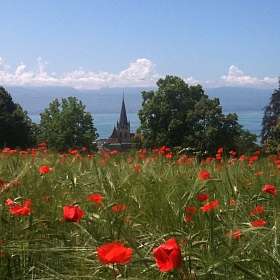 Vue du parc de l&#039;Hermitage © Fondation de l`Hermitage